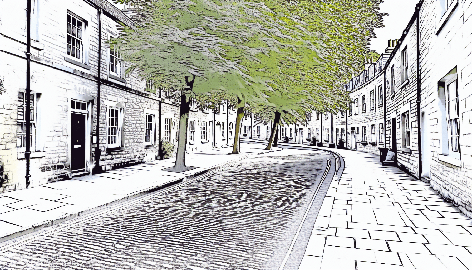 Conservation Areas and Trees: Rules for Homeowners